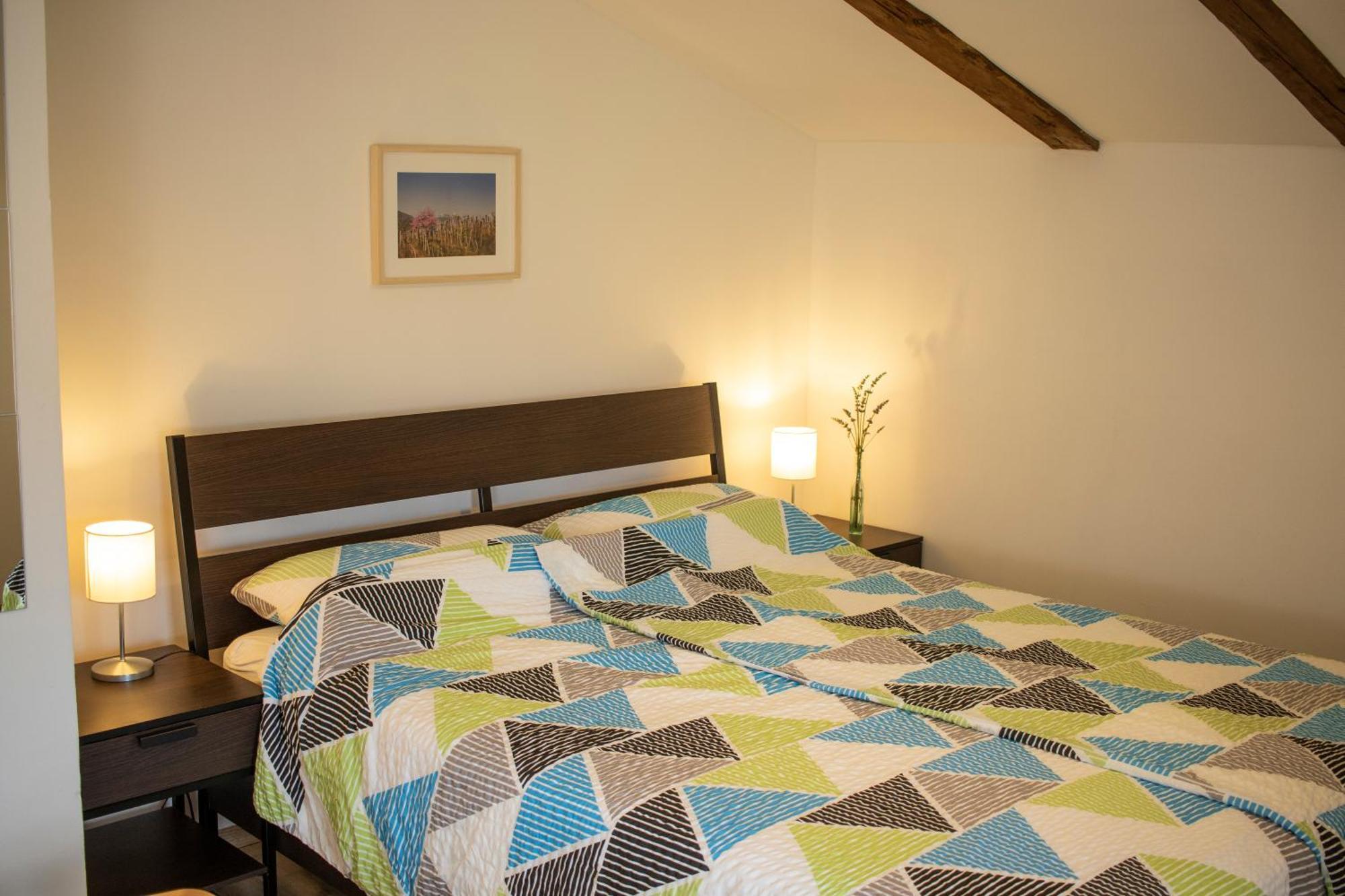 Borea Rooms - Sobe Budanje Vipava Extérieur photo