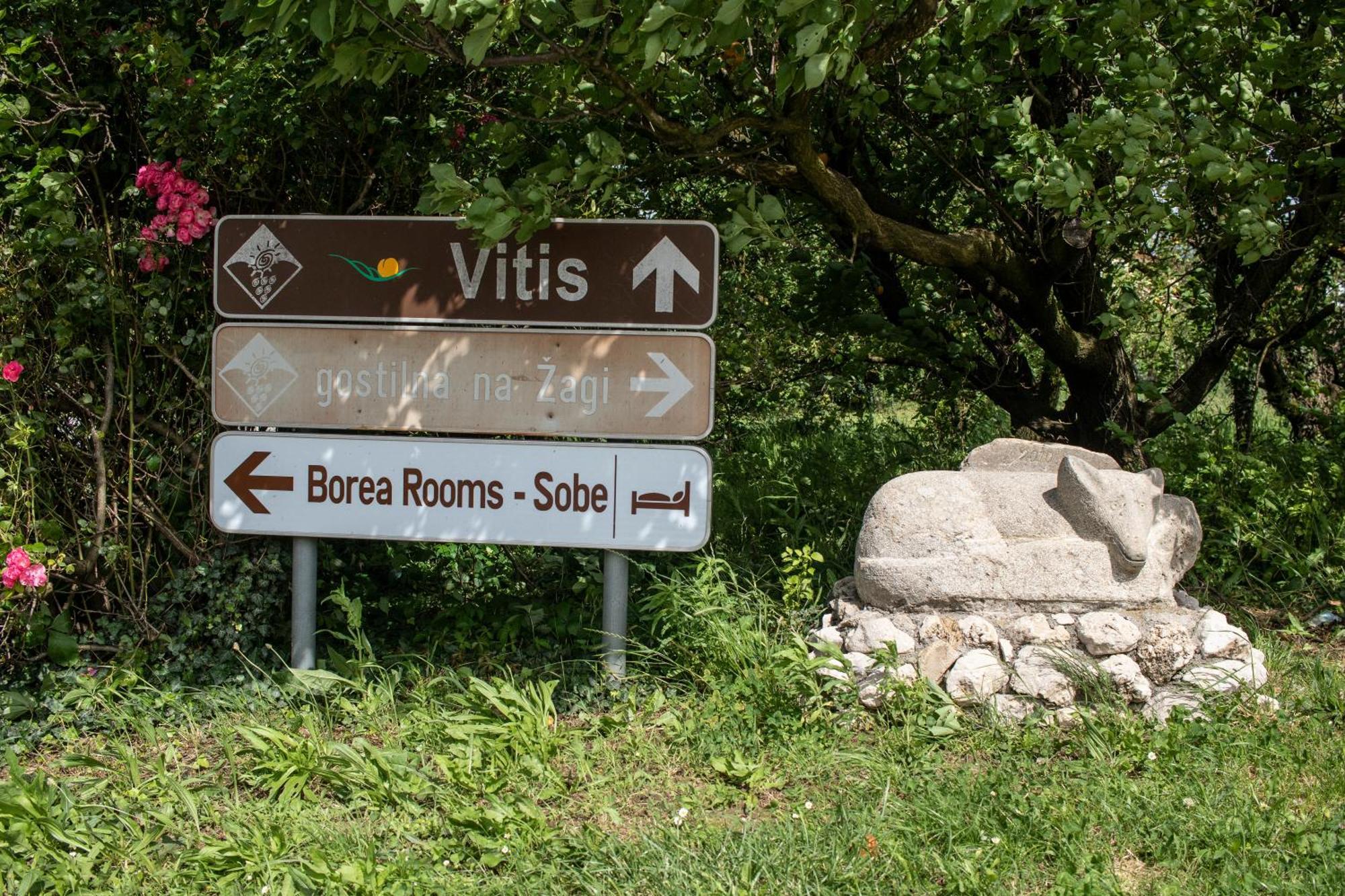 Borea Rooms - Sobe Budanje Vipava Extérieur photo