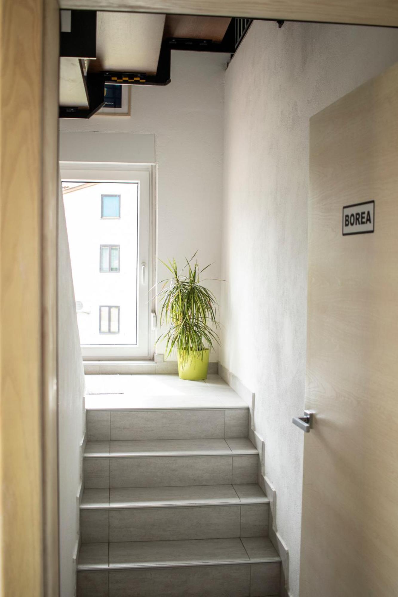 Borea Rooms - Sobe Budanje Vipava Extérieur photo
